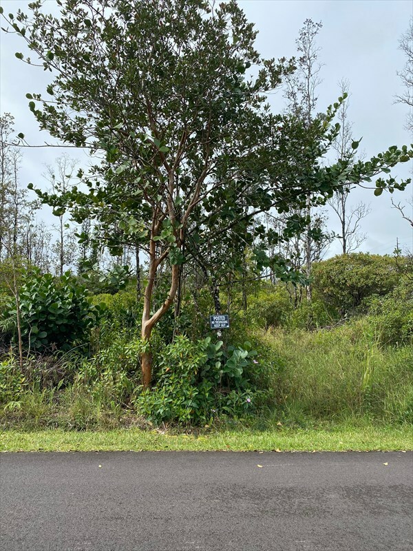 Property Photo:  Macadamia Dr  HI 96778 