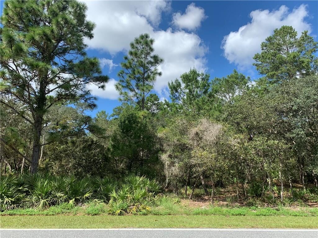 Property Photo: Lot 9 Royal Trails Rd FL 32736