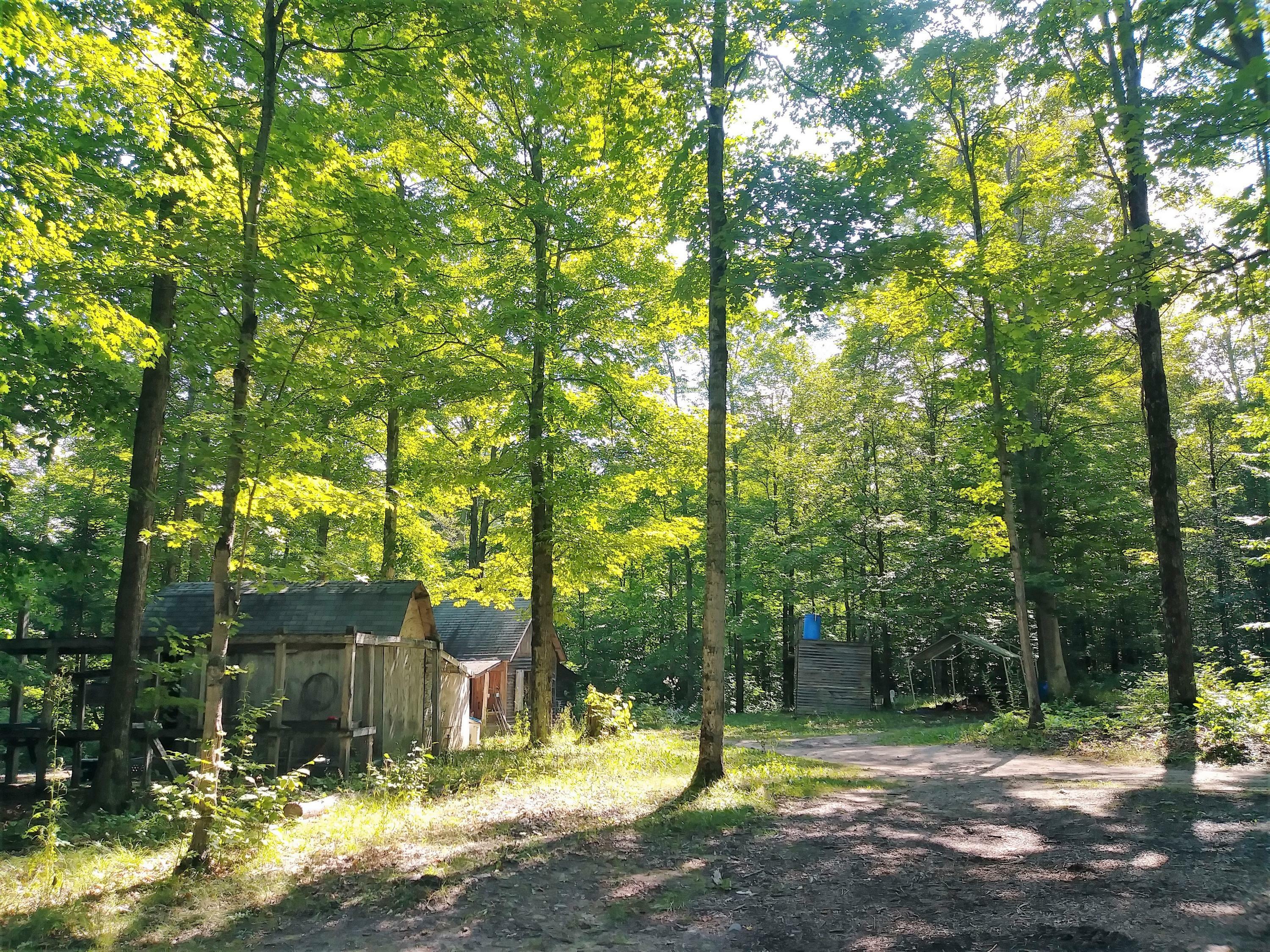 Property Photo:  6816 Cut Off Road  MI 49705 