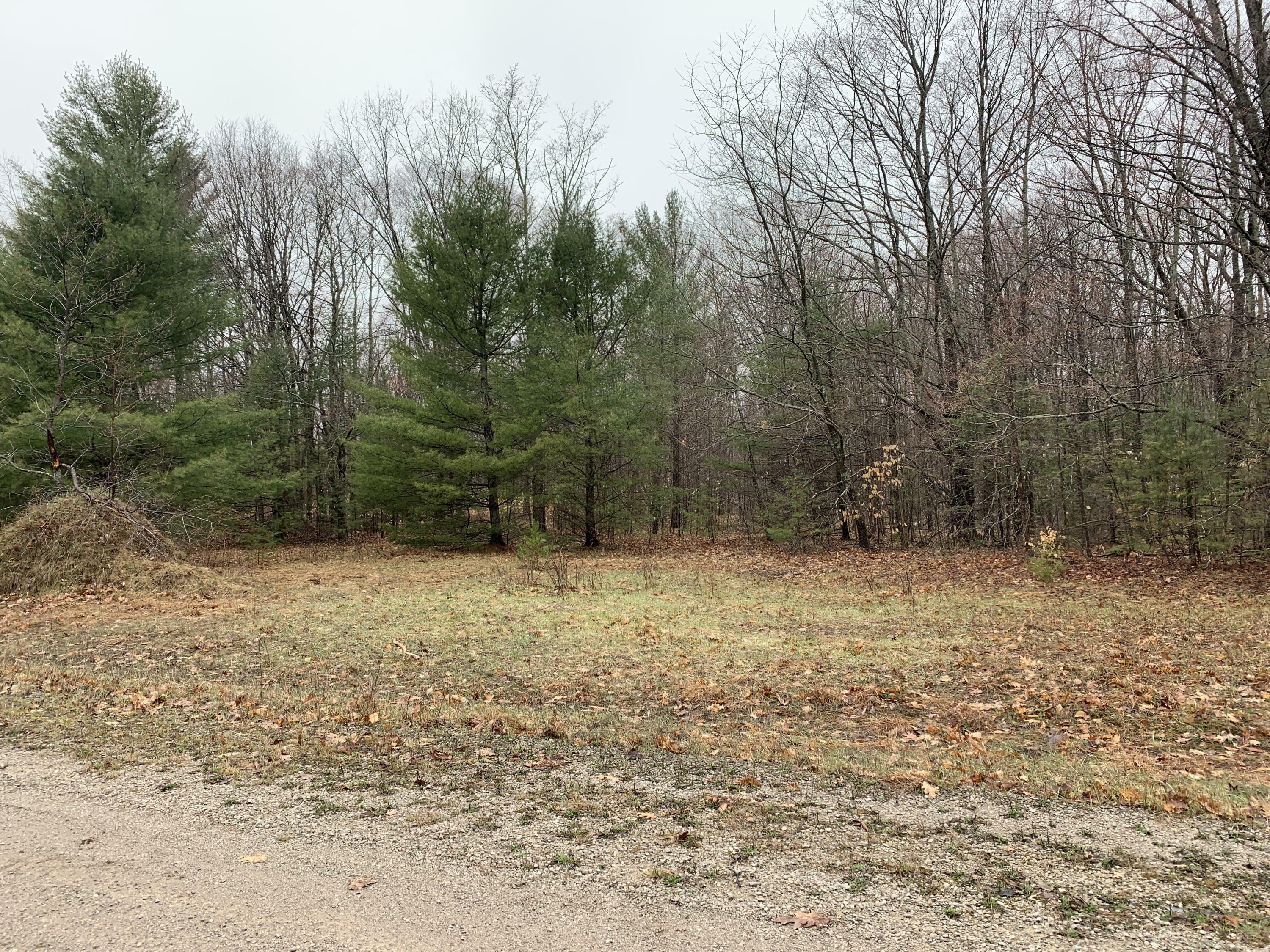 Property Photo:  Lodge Road  MI 49721 