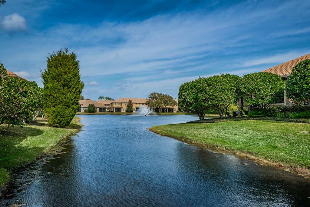 Property Photo:  4765 Michelle Lane  FL 34684 