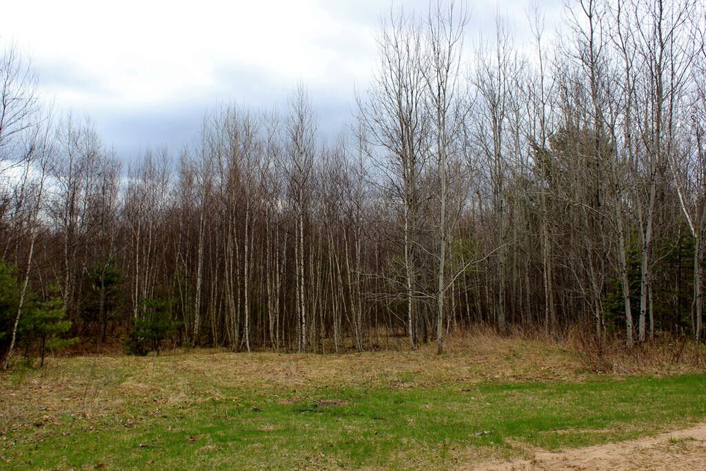 Property Photo:  0 Burnt Hill Road  NY 12981 