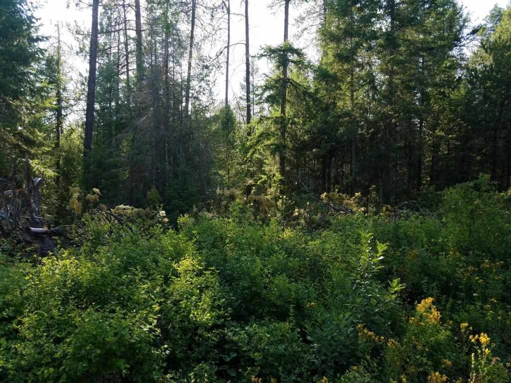 Property Photo: 000 B-3 Bradbury Way WA 99181