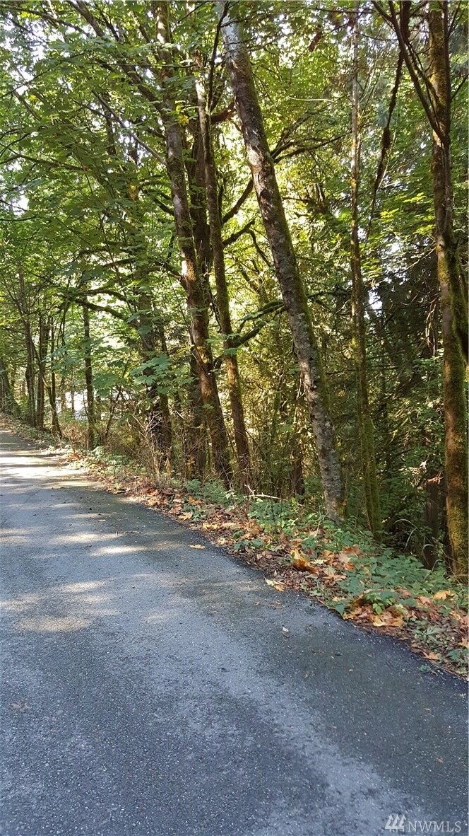 Property Photo: 246 SE 146th St WA 98027