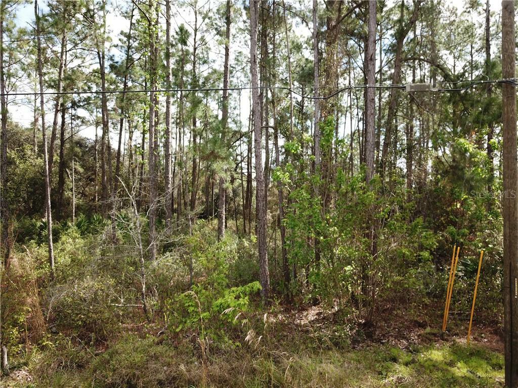 Property Photo:  270 Arapaho Trail  FL 34747 