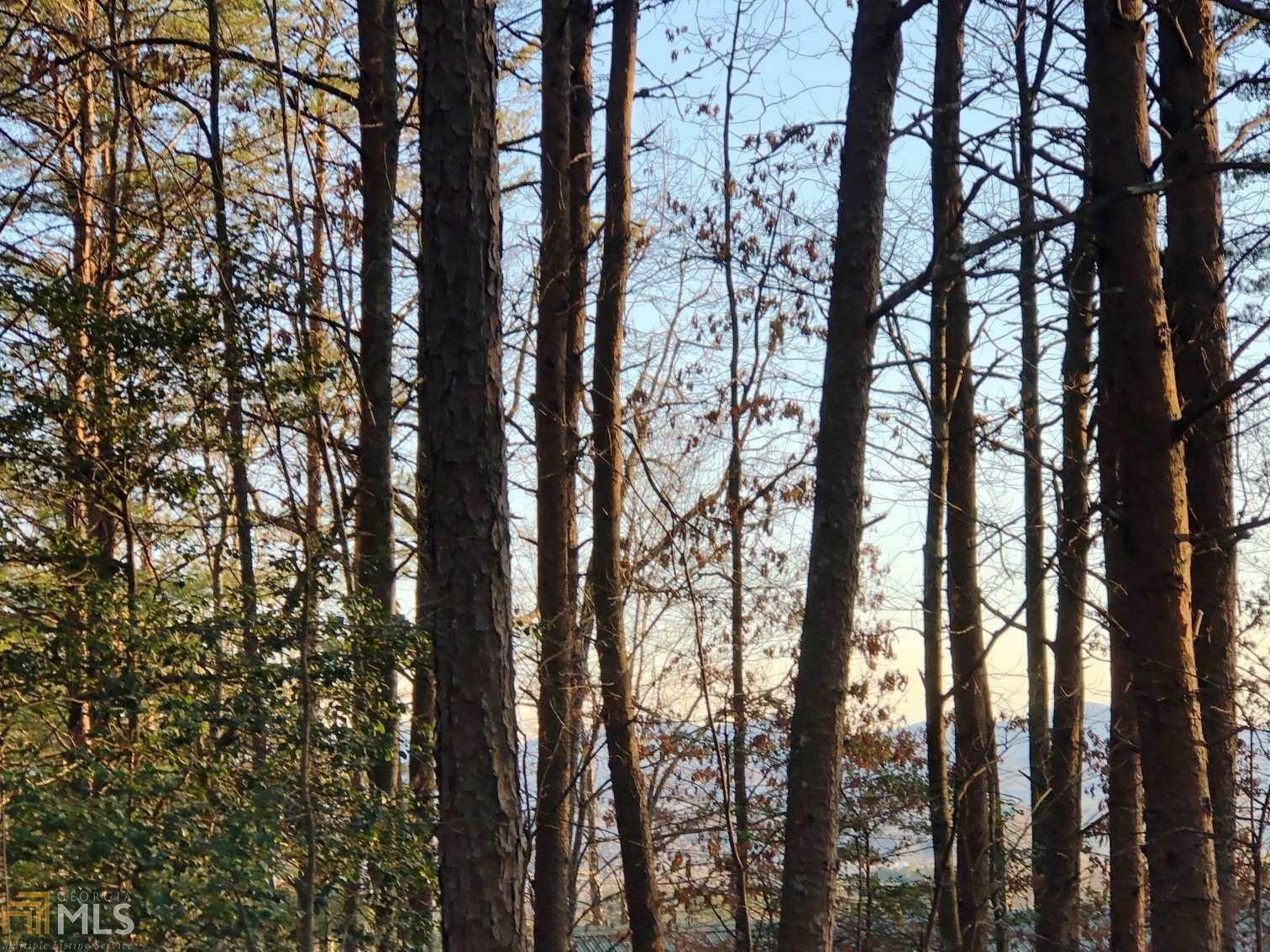 Property Photo:  0 Rocky Top Heights Road Lt 120  GA 30512 