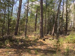 Property Photo:  Laurel Valley Rd  TN 37882 