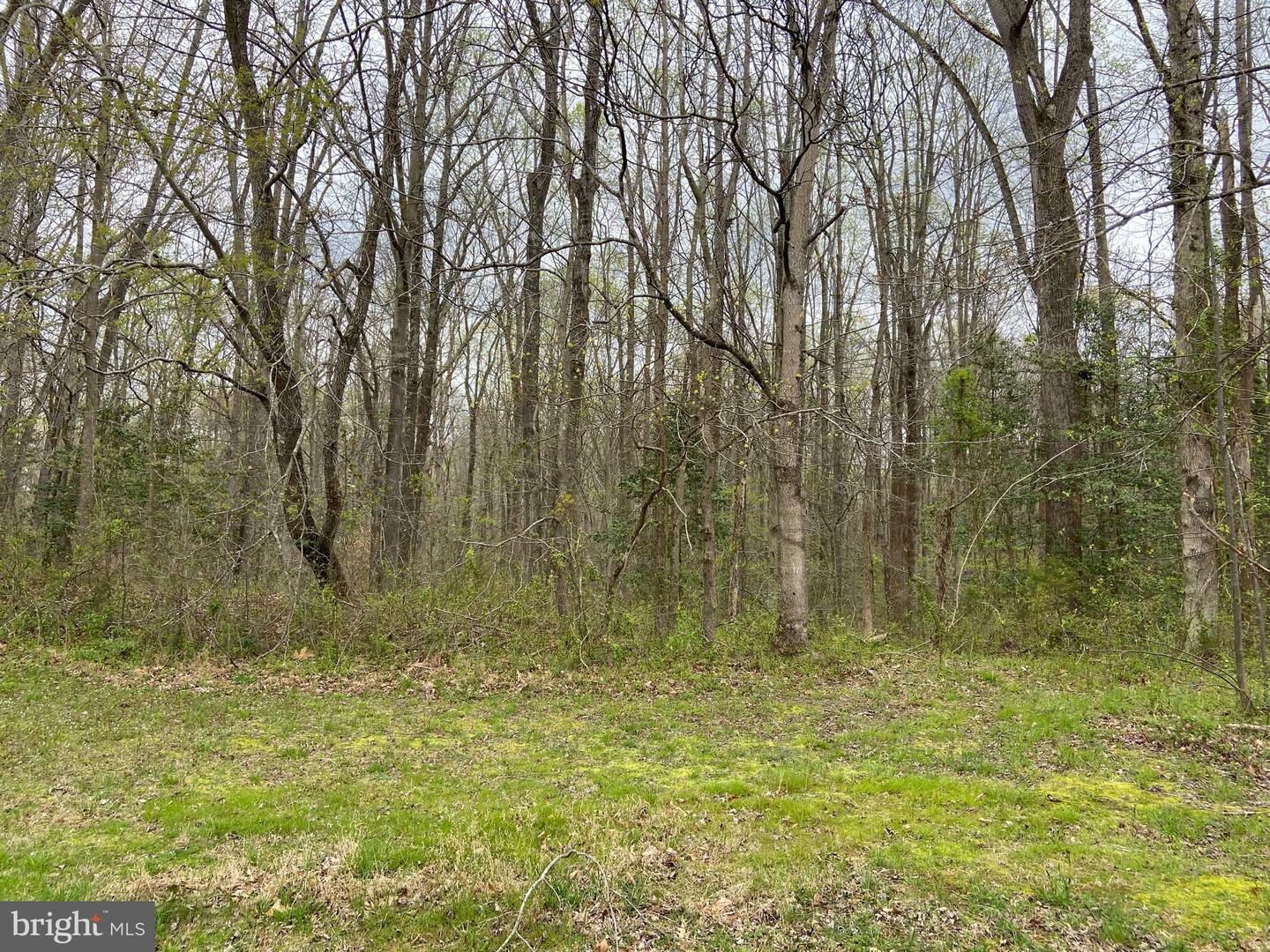 Property Photo:  913 Leeland Road  VA 22405 