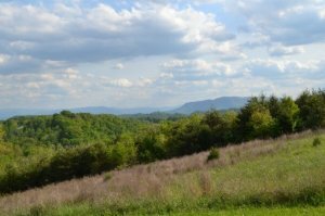 Property Photo:  Kenneth Overlook  TN 37764 