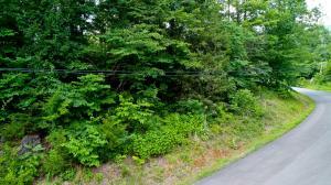 Property Photo:  Lot 3 Tomahawk Drive  TN 37722 