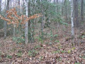 Property Photo:  120 Springside Way  TN 37882 