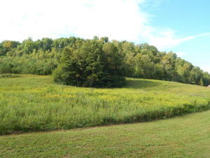 Property Photo:  Deep Springs Rd  TN 37725 