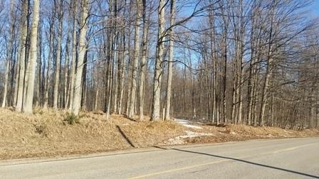 Property Photo: 00 Peninsula Road N. MI 49727