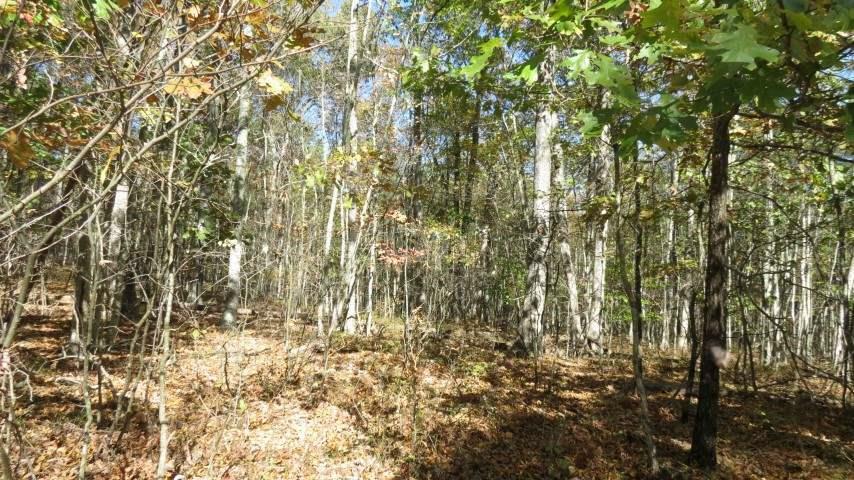 Property Photo:  Lot #16 Evergreen Lane  NY 12764 