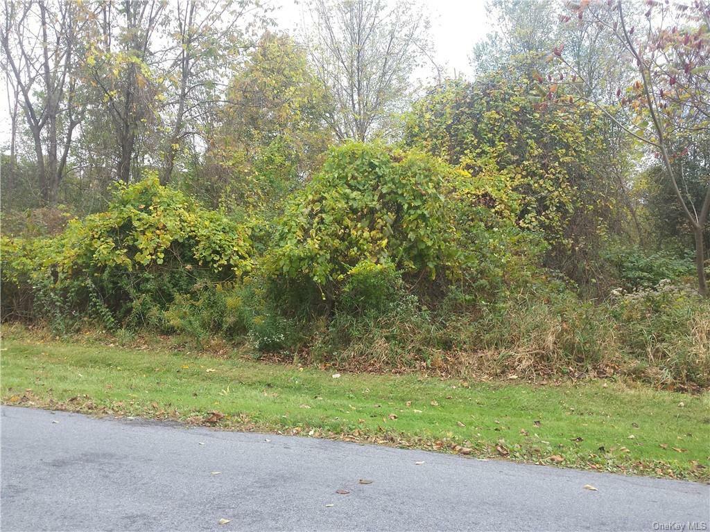 Property Photo:  Lot 2 Eatontown Road  NY 12771 