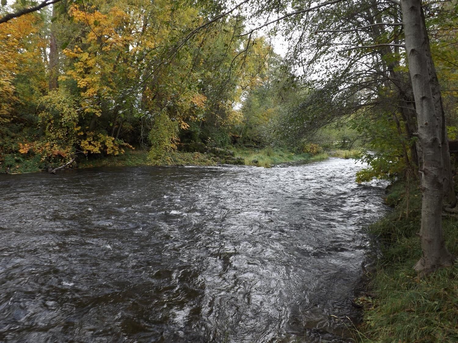 Property Photo: 11701 Highway 238 OR 97530