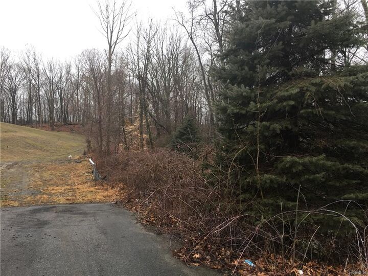 1 Guion Lane  Bedford NY 10506 photo