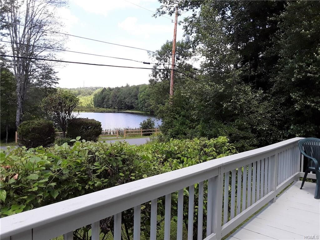 Property Photo:  167 Gabriel Street  NY 12778 