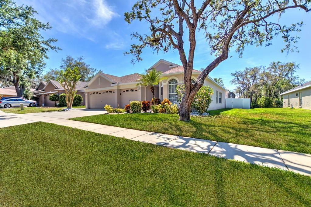 Property Photo: 11125 Bridgecreek Drive FL 33569