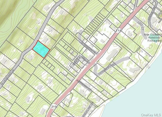 Property Photo:  Blueberry Hill-Indian Tri  NY 10925