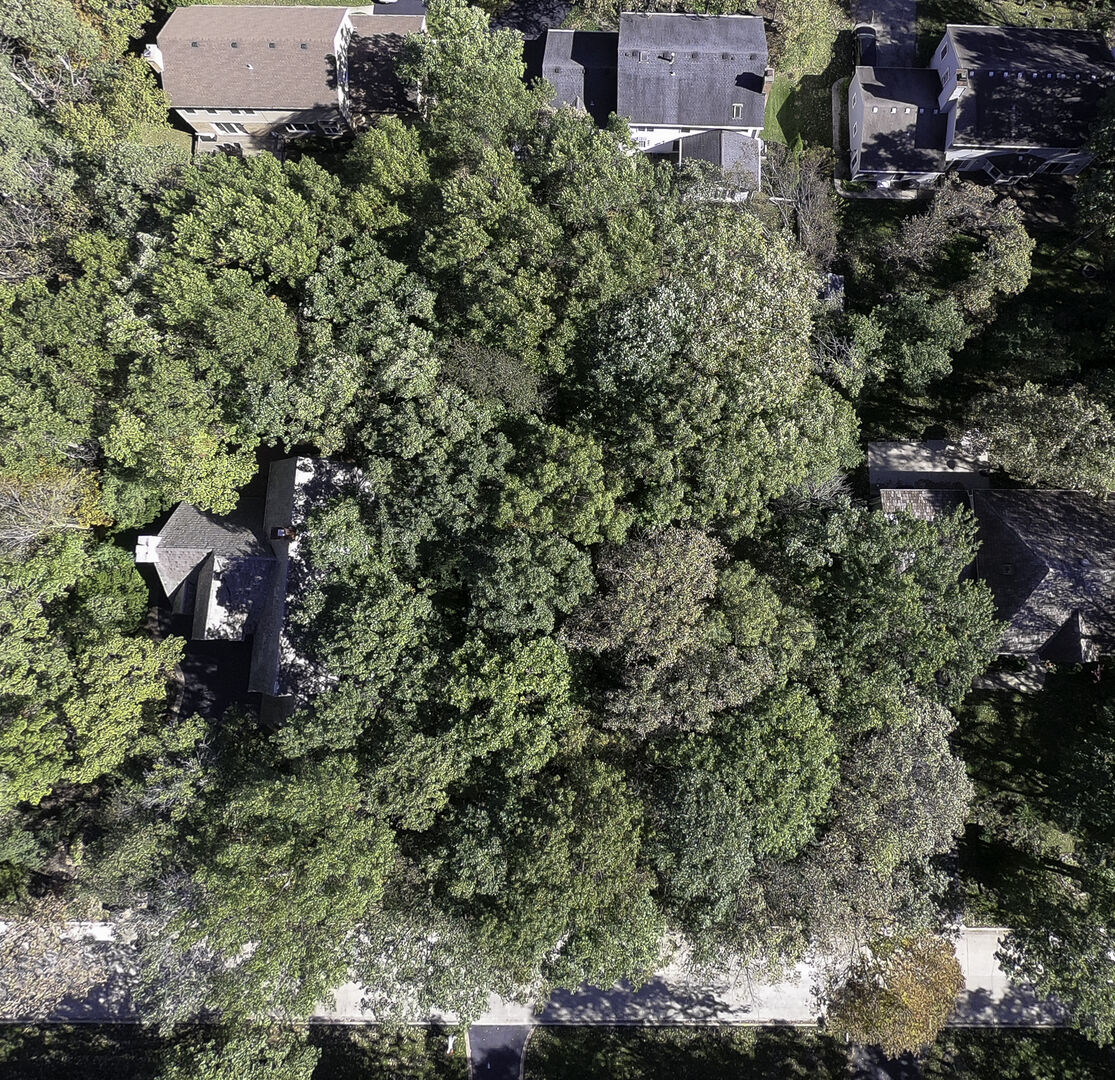 Property Photo:  1133 South Mount Vernon Avenue  IL 60045 