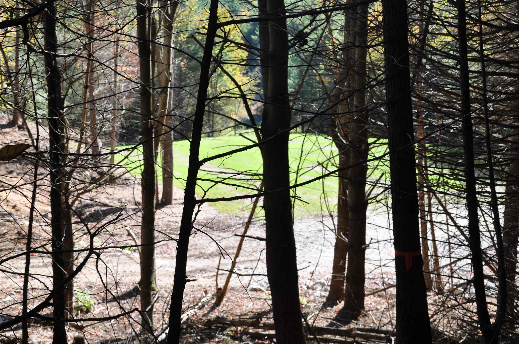 Property Photo:  Lot 5 Finney Ridge Pond Rd  VT 05482 