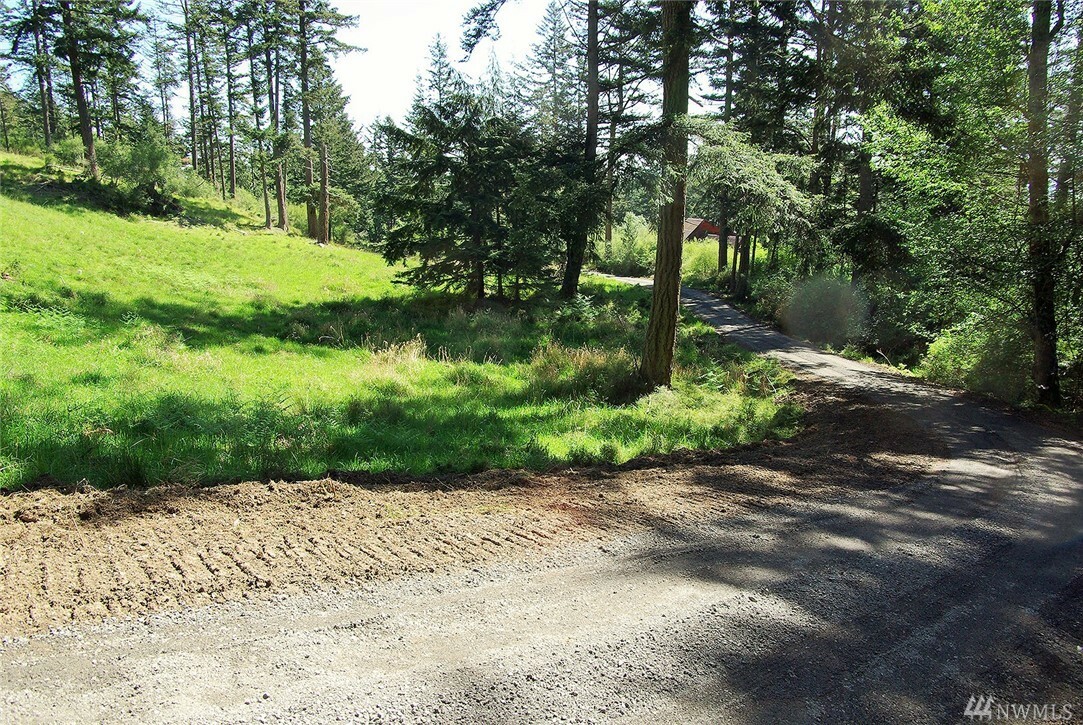 Property Photo:  0 Roehl'S Hill Rd  WA 98279 