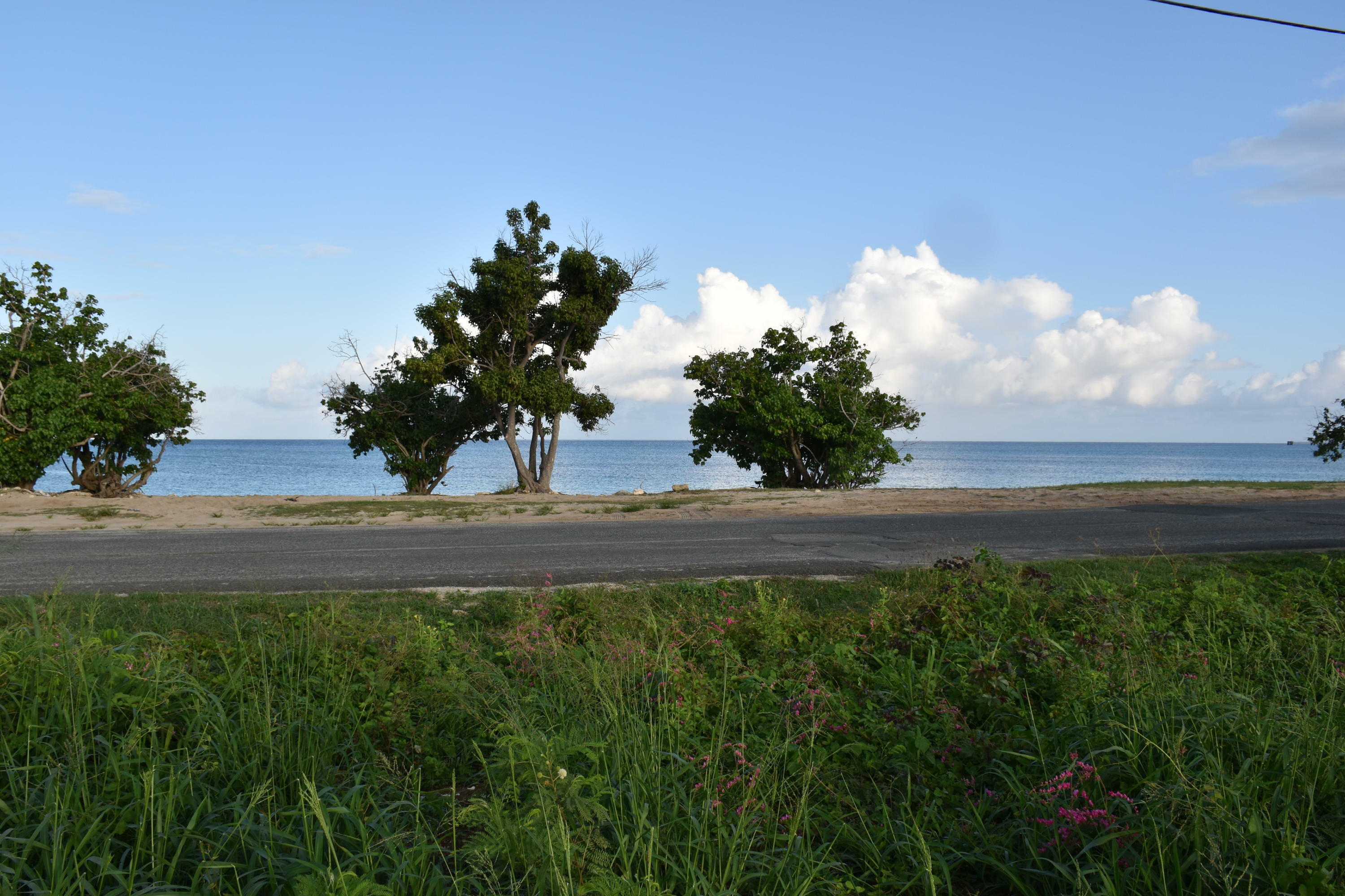 Property Photo:  104 Two Brothers We  VI 00840 