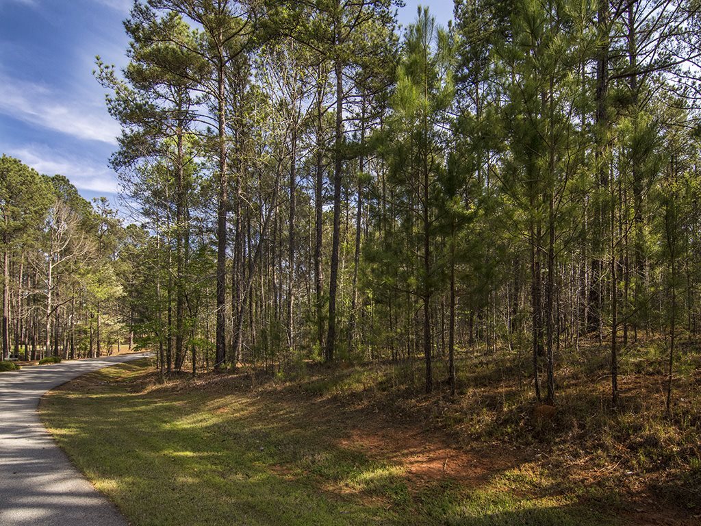 Property Photo: 1001 Oslin Place GA 30642