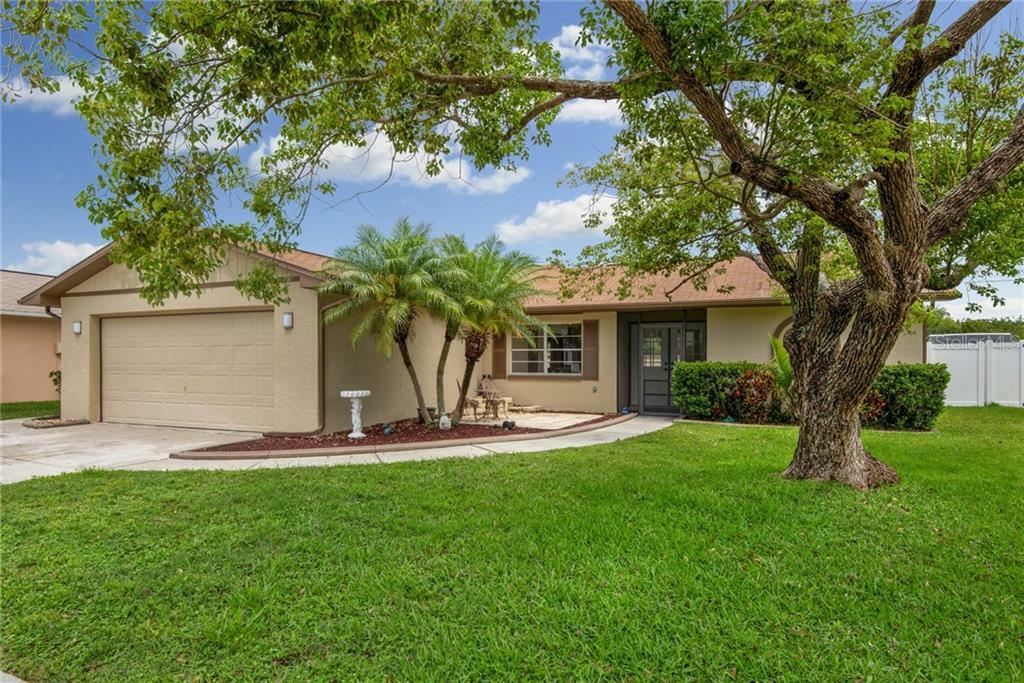 Property Photo:  8215 Tarsier Avenue  FL 34653 