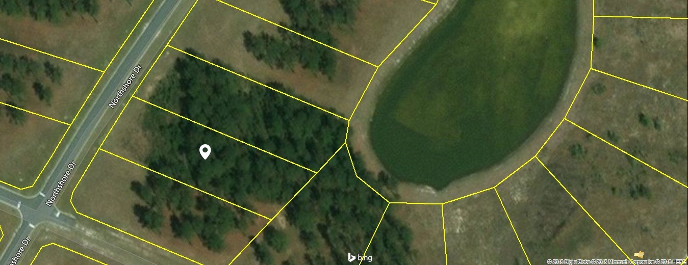 Property Photo:  336 Northshore Dr Lot 336  GA 31548 