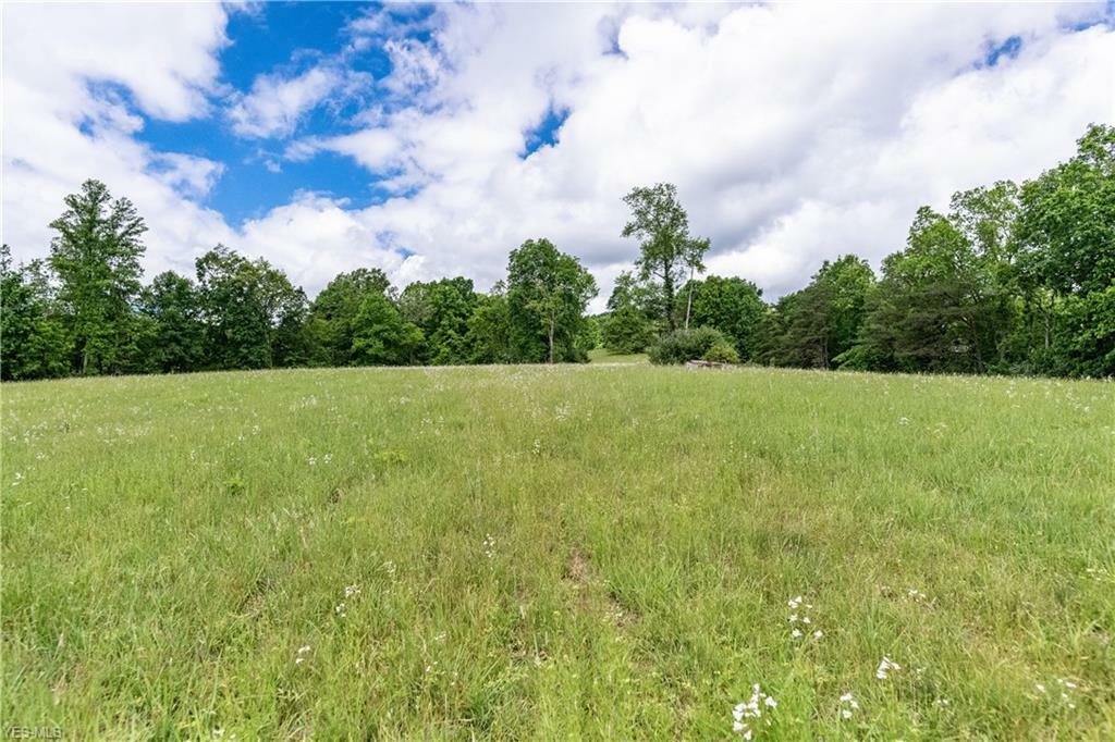 Property Photo:  Vincent Hill Road 283 Acres  WV 26337 