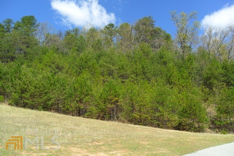 Property Photo:  6A40 Mountain Sweet 6A  GA 30523 