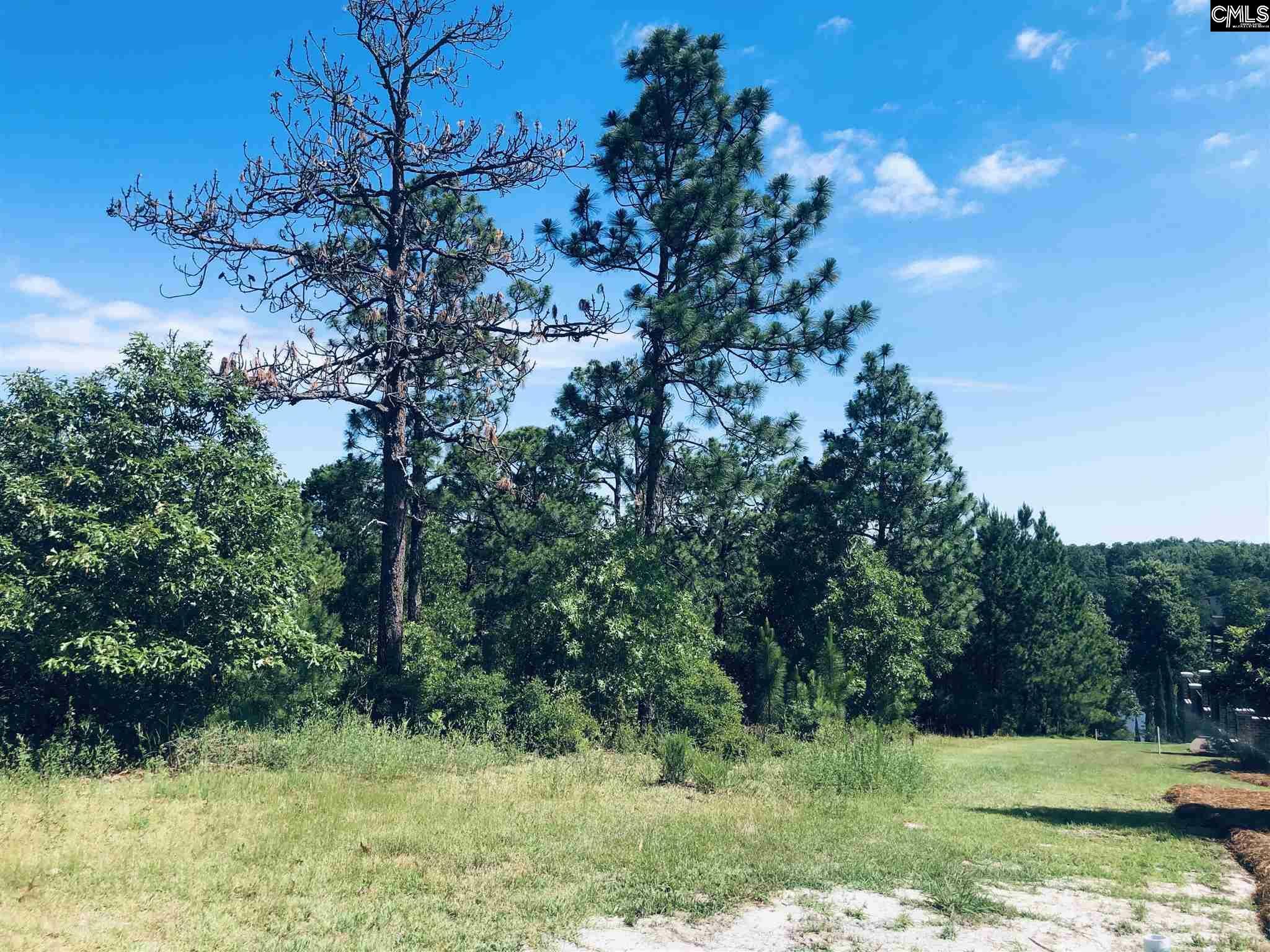 Property Photo: 2 Beaver Ridge Ct SC 29045