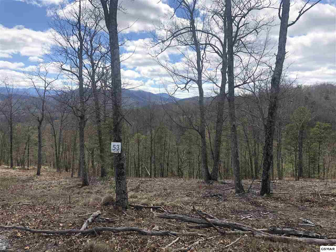 Property Photo: Lot 53 Misty Bluff Trail TN 37862
