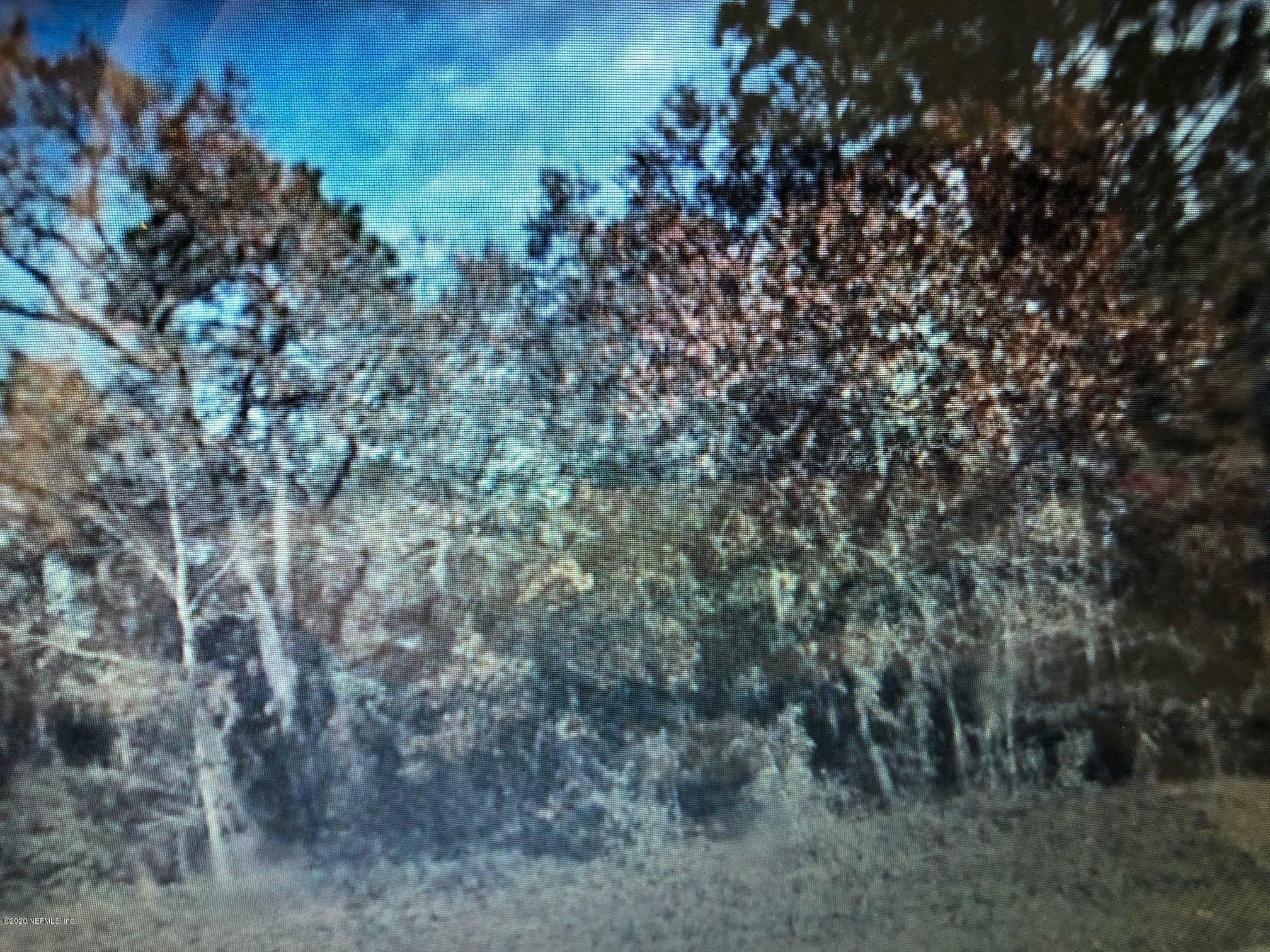 Property Photo:  0 Hoot Owl Road  FL 32189 