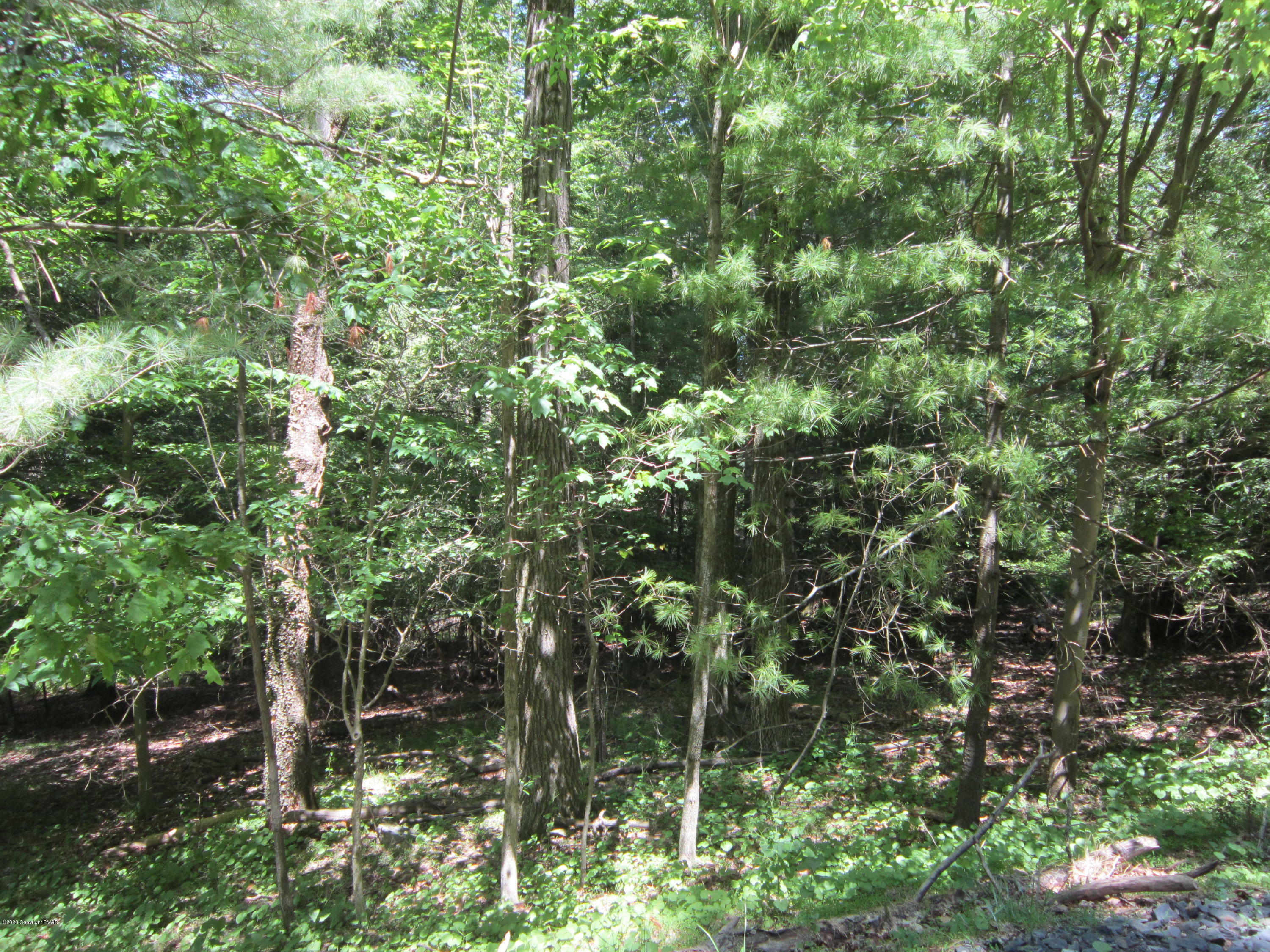 Property Photo:  25 Lake (Now Moss Dr.) Drive  PA 18370 