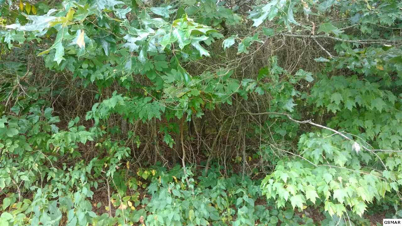 Property Photo: Lot 9A Ridge Lane TN 37876