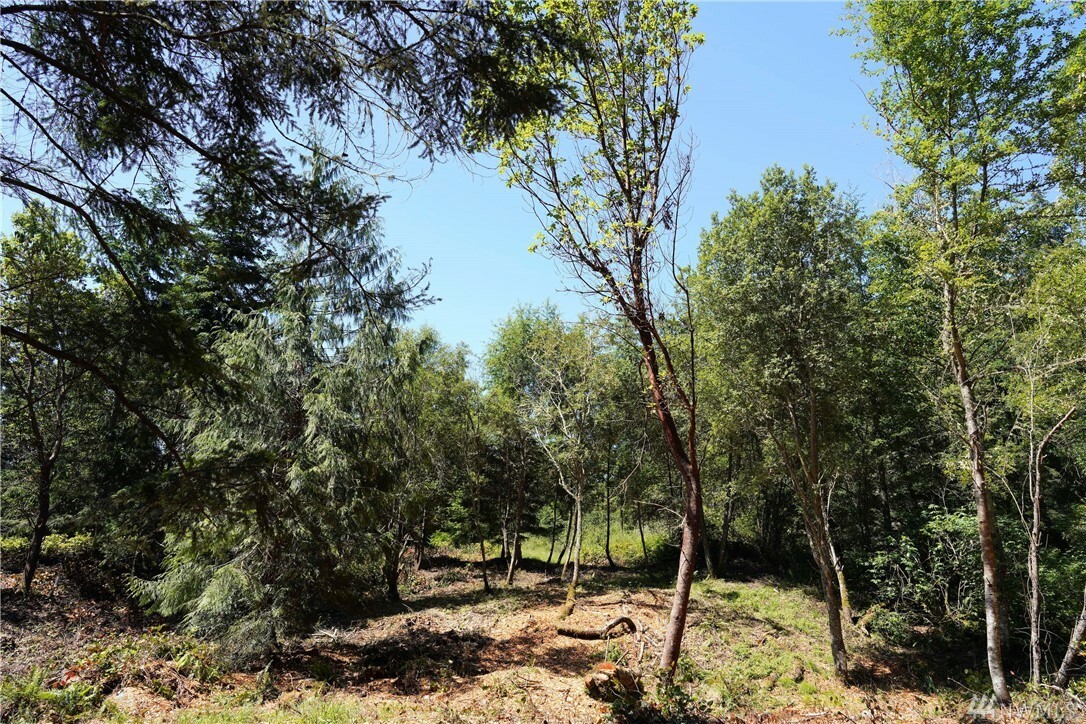 Property Photo:  Block 15 N Jacob Miller Rd  WA 98368 