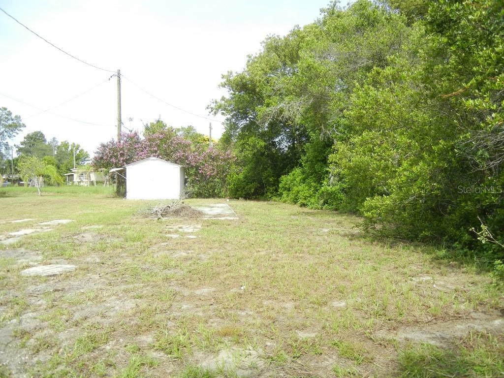 Property Photo:  34645 Banks Avenue  FL 34788 