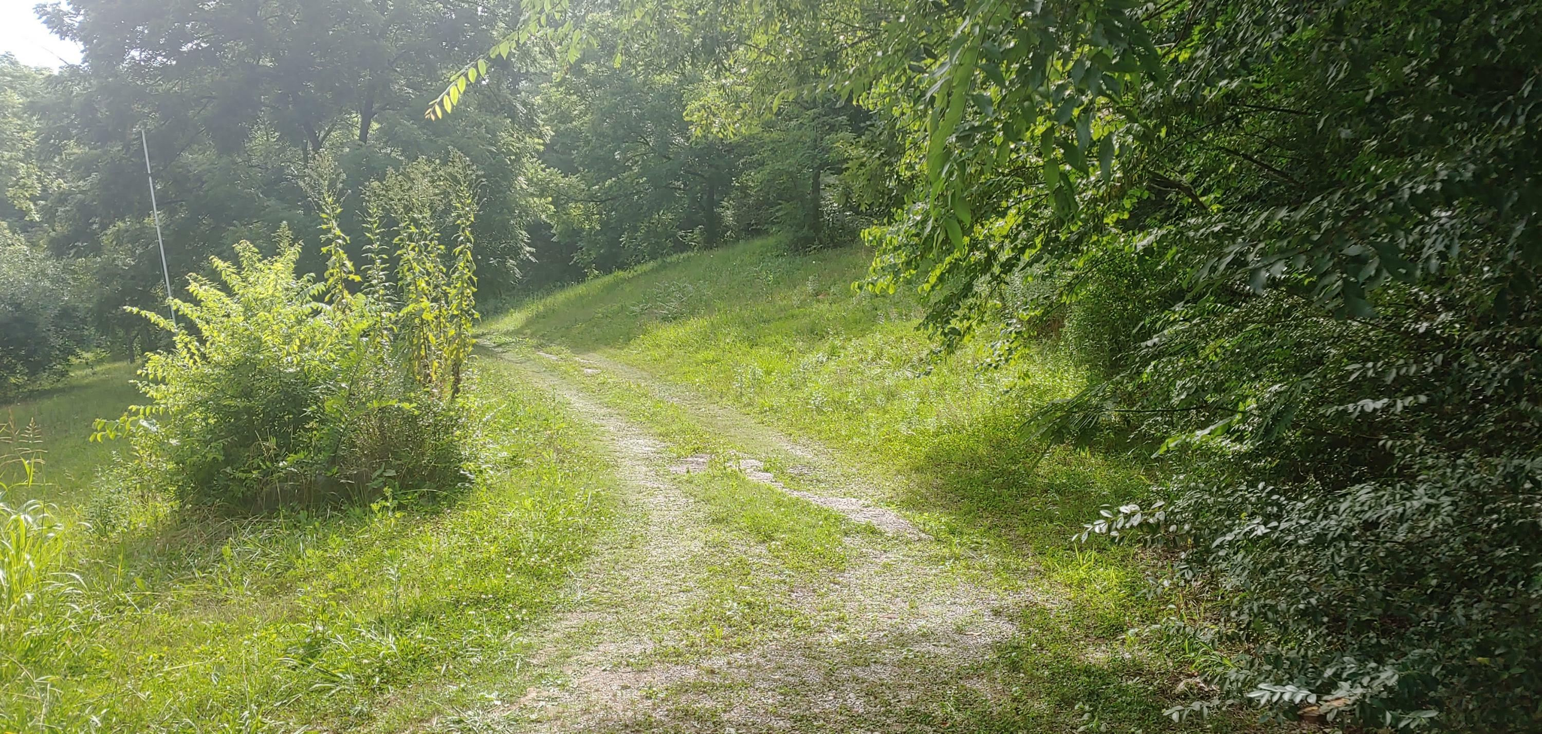 Property Photo:  7235 Russell Hollow Rd  TN 37801 