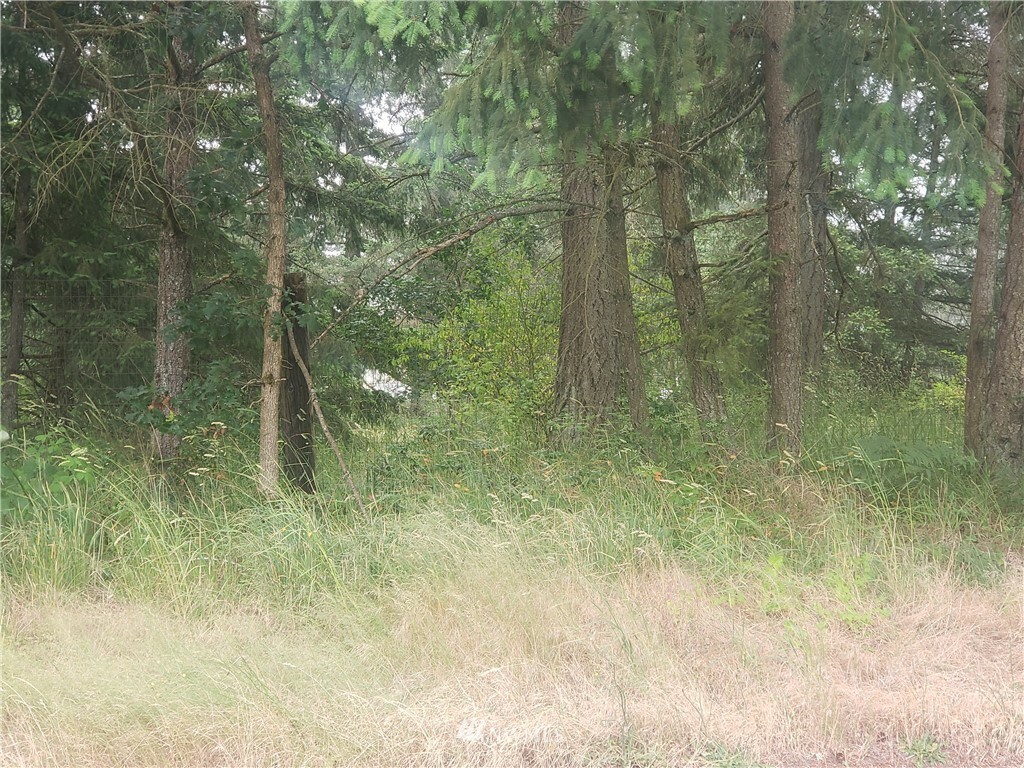 Property Photo: 1713 208th Street E WA 98387