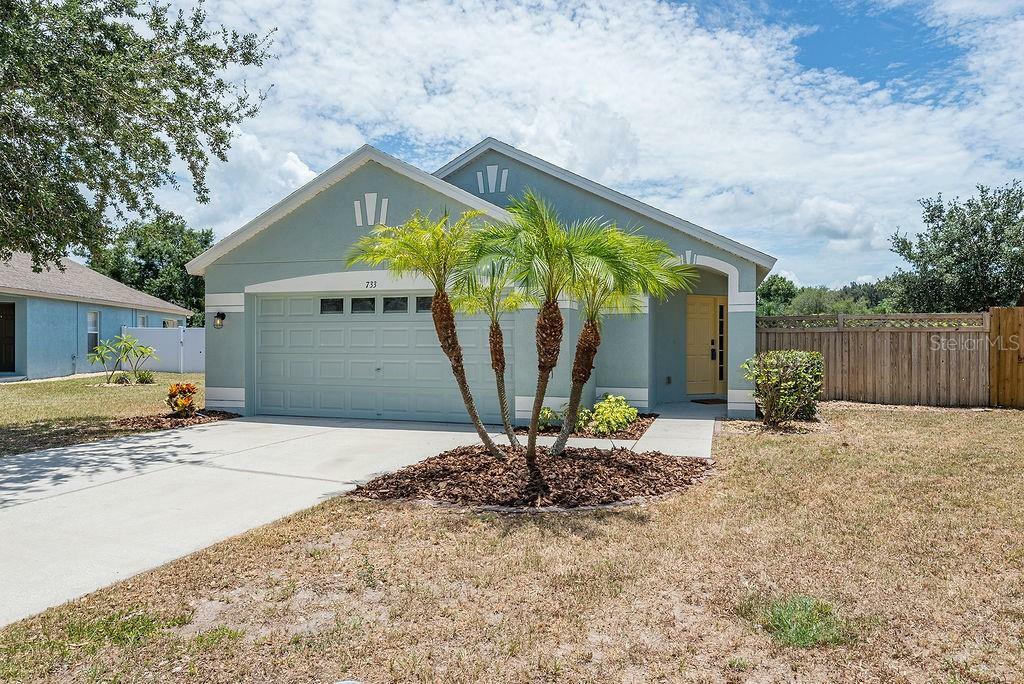 Property Photo:  733 Cristelle Jean Drive  FL 33570 