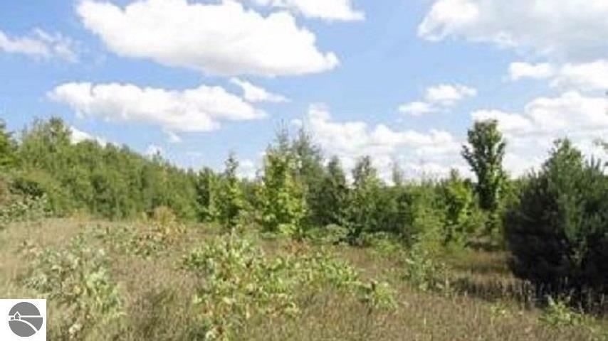 Property Photo: SE Gray Road MI 49633