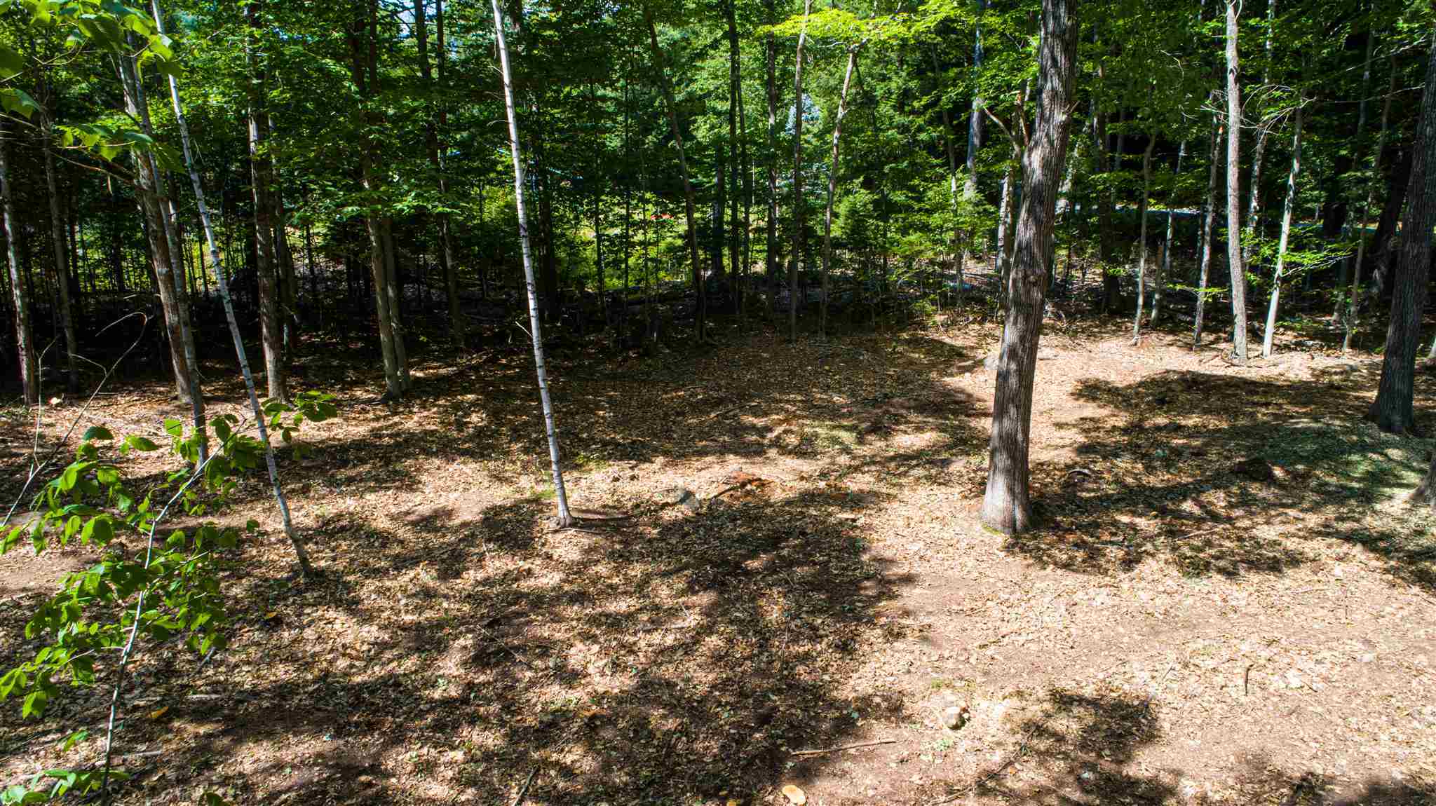 Property Photo:  157 Banjo Drive 1  NH 03223 