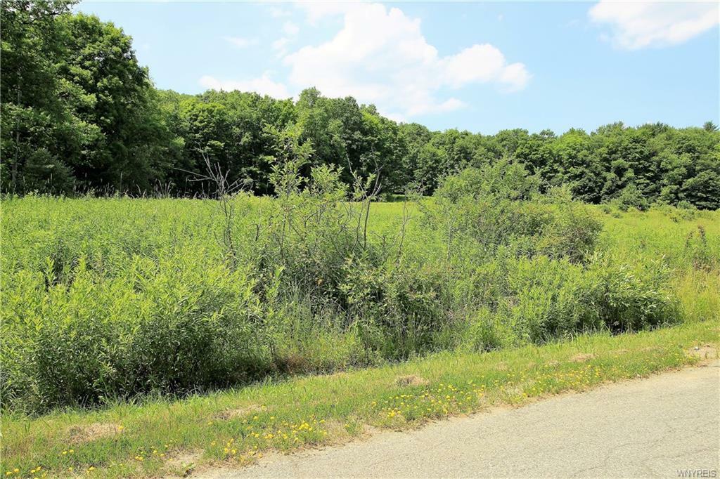 Property Photo:  0 Mutton Hollow Road  NY 14779 