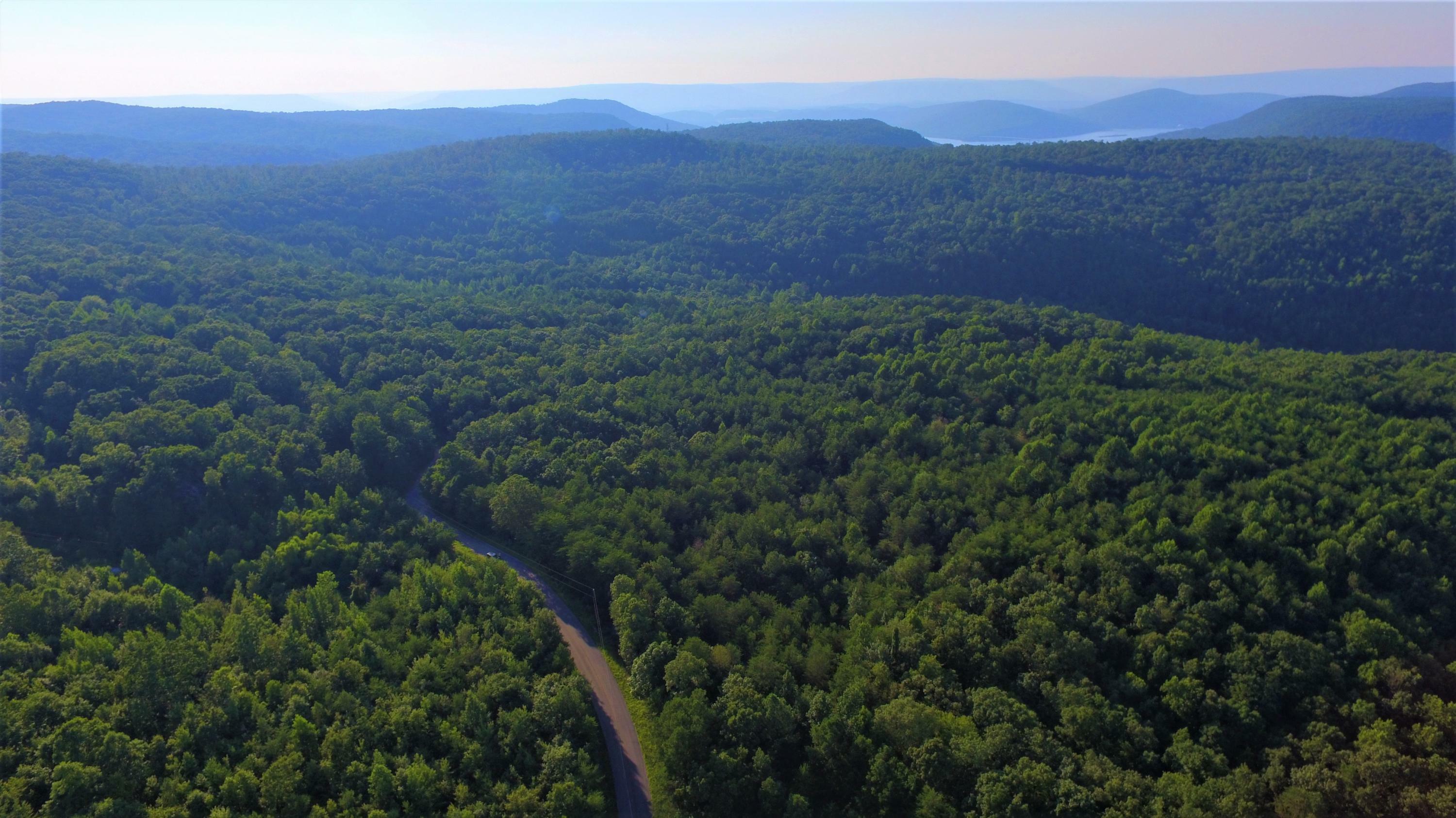 Property Photo:  0 Scratch Ankle Road  GA 30752 