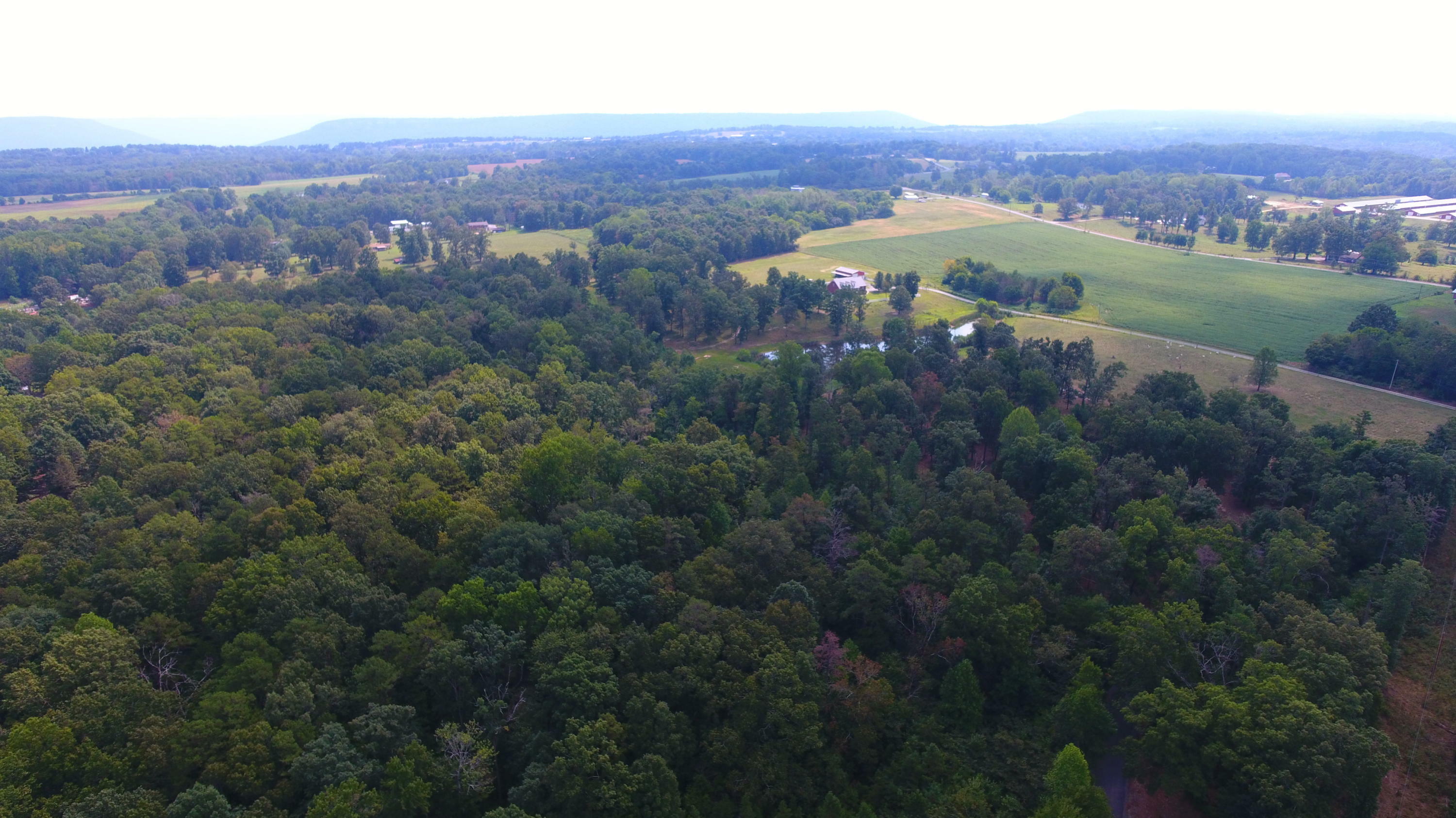 Property Photo: 20 County Rd 784 AL 35981