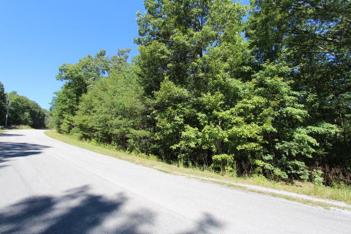 Property Photo: 0 Fox Trail Road GA 30738