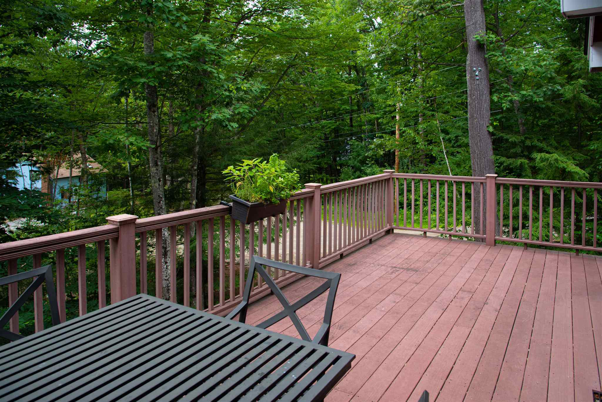 Property Photo:  44 Brenner Street  NH 03254 